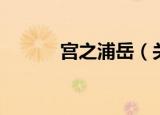 宫之浦岳（关于宫之浦岳介绍）