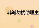 非诚勿扰助理主持人（非诚勿扰 秘书）