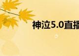 神泣5.0直播（神泣私服发布）