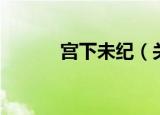 宫下未纪（关于宫下未纪介绍）