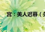 宫：美人迟暮（关于宫：美人迟暮介绍）