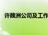 许魏洲公司及工作室（许魏洲工作室声明）