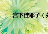 宫下佳耶子（关于宫下佳耶子介绍）