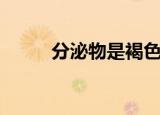 分泌物是褐色带血丝（褐色白带）