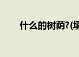 什么的树荫?(填词语)（什么的树荫）