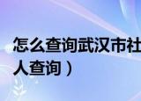 怎么查询武汉市社保缴费记录（武汉市社保个人查询）