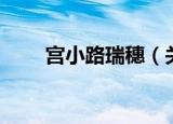 宫小路瑞穗（关于宫小路瑞穗介绍）
