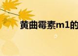 黄曲霉素m1的毒性（黄曲霉素m1）