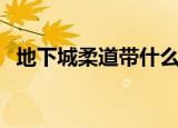 地下城柔道带什么武器（柔道带什么武器）
