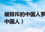 被排斥的中国人罗辑思维读书心得（被排斥的中国人）