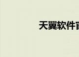 天翼软件官网（天翼软件）