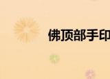 佛顶部手印（藏传佛教手印）