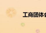工商团体会费（工商会费）