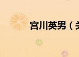 宫川英男（关于宫川英男介绍）