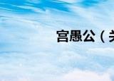 宫愚公（关于宫愚公介绍）