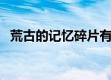 荒古的记忆碎片有啥用（荒古的记忆碎片）