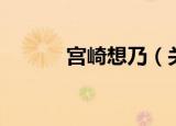 宫崎想乃（关于宫崎想乃介绍）