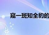 窥一斑知全豹的意思（窥一斑知全豹）
