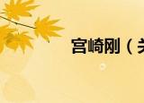 宫崎刚（关于宫崎刚介绍）