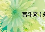宫斗文（关于宫斗文介绍）