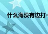 什么海没有边打一成语（什么海没有边）