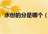 水份的分是哪个（水分和水份有什么区别）