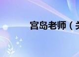 宫岛老师（关于宫岛老师介绍）