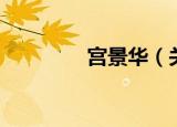 宫景华（关于宫景华介绍）