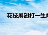 花枝展翅打一生肖（花枝招展打一生肖）