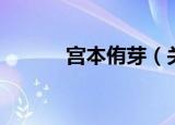 宫本侑芽（关于宫本侑芽介绍）