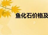 鱼化石价格及图片（鱼化石价格）