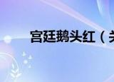 宫廷鹅头红（关于宫廷鹅头红介绍）