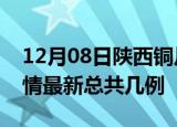 12月08日陕西铜川疫情最新数量及铜川土疫情最新总共几例