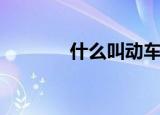 什么叫动车站（什么叫动车）