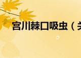 宫川棘口吸虫（关于宫川棘口吸虫介绍）
