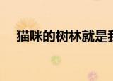 猫咪的树林就是我的家（猫咪森林歌词）