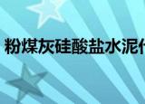粉煤灰硅酸盐水泥代号（粉煤灰硅酸盐水泥）