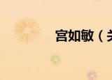 宫如敏（关于宫如敏介绍）