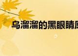 乌溜溜的黑眼睛原唱（乌溜溜的黑眼睛）