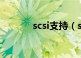scsi支持（scsi和raid控制器）