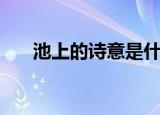 池上的诗意是什么视频（池上的诗意）