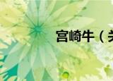 宫崎牛（关于宫崎牛介绍）