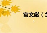 宫文彪（关于宫文彪介绍）