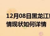 12月08日黑龙江绥化今日疫情通报及绥化疫情现状如何详情