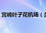 宫崎叶子花机场（关于宫崎叶子花机场介绍）
