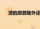 烫的部首除外还有多少画（烫的部首）