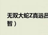 无双大蛇Z真远吕智强吗（无双大蛇z真远吕智）
