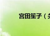 宫田笙子（关于宫田笙子介绍）