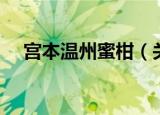 宫本温州蜜柑（关于宫本温州蜜柑介绍）