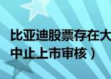 比亚迪股票存在大跌可能吗（比亚迪半导体被中止上市审核）